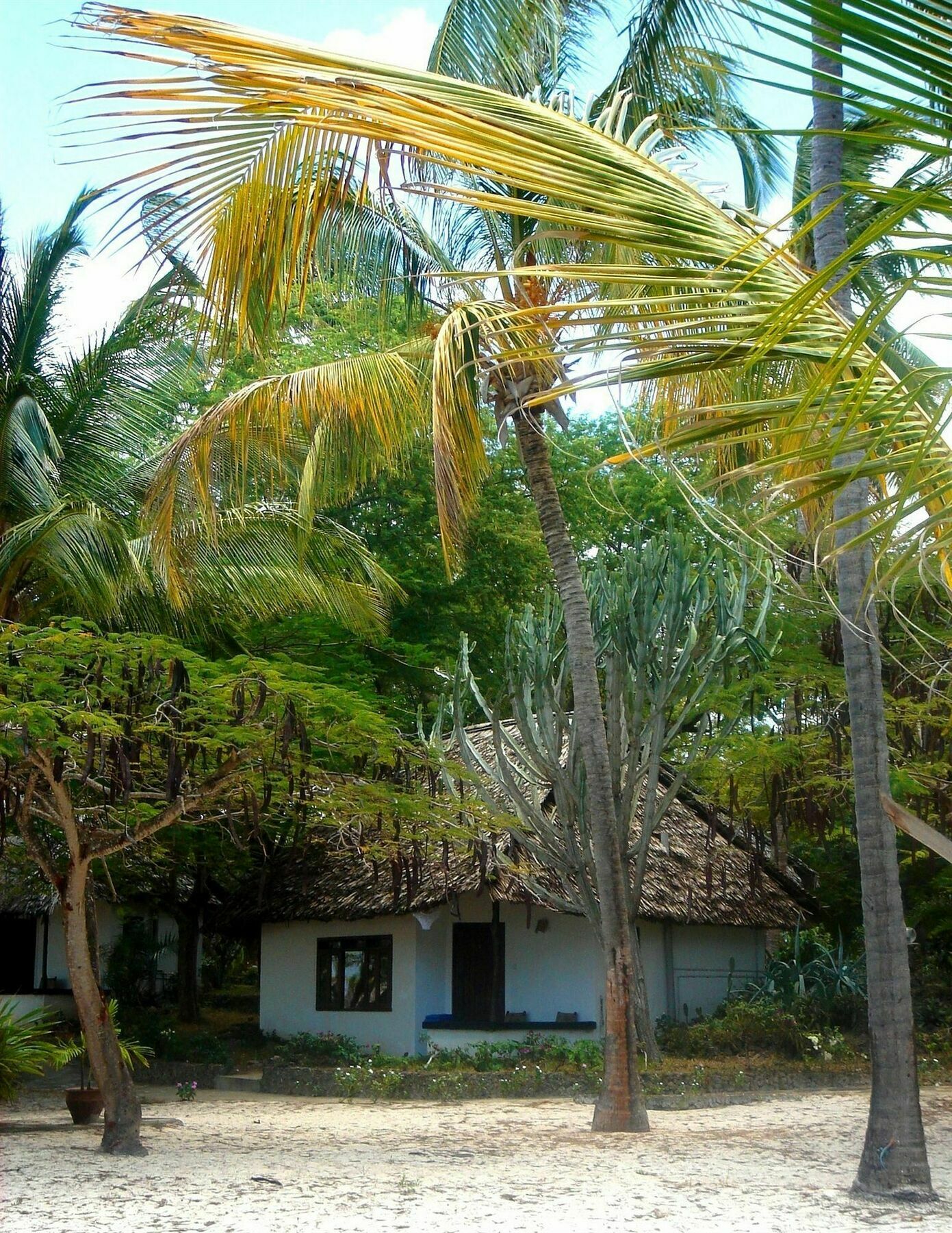 Отель Driftwood Beach Club Малинди Экстерьер фото